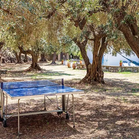 Traditional Greek House With Direct Access To A Lovely Beach At 250 M