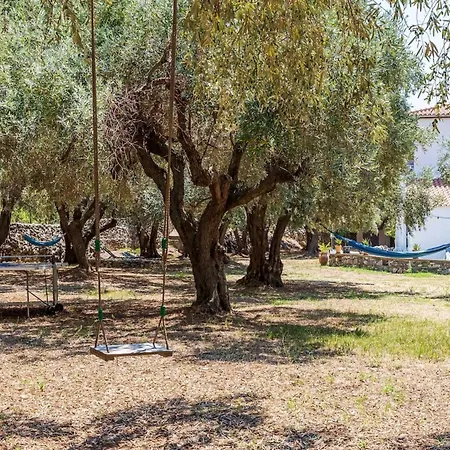Traditional Greek House With Direct Access To A Lovely Beach At 250 M Holiday home *