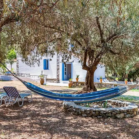 Traditional Greek House With Direct Access To A Lovely Beach At 250 M Holiday home