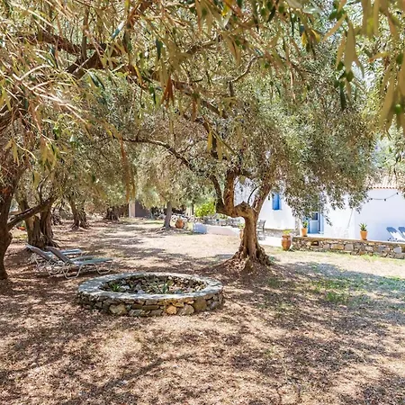 Traditional Greek House With Direct Access To A Lovely Beach At 250 M